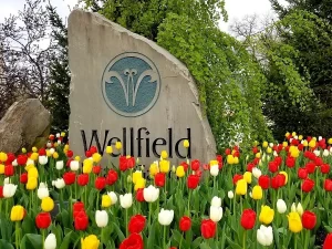 Wellfield Gardens