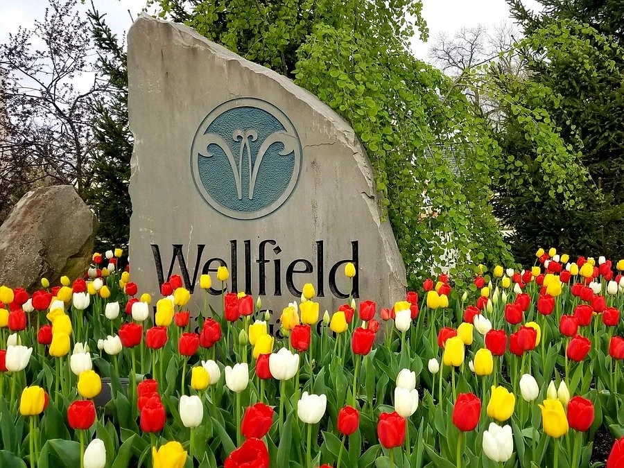 Wellfield Gardens